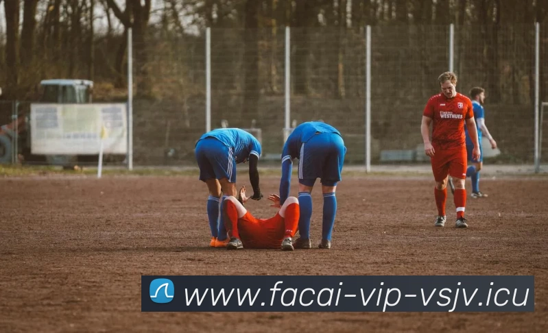 乐竞体育注册平台生态图